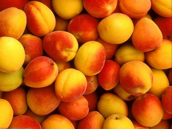 Apricot image benefits eczema psoriasis acne rash diaper dry skin rosacea 